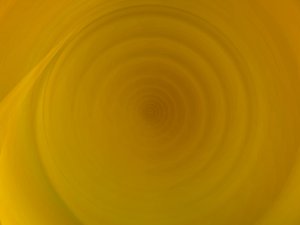 SQL优化